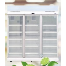 開利 LYLP3D21TAP 玻璃門冷凍雪櫃