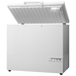 冰極牌  TM300-CL 低温單頂蓋門陳列冷凍櫃 